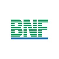 BNF Group Pte Ltd