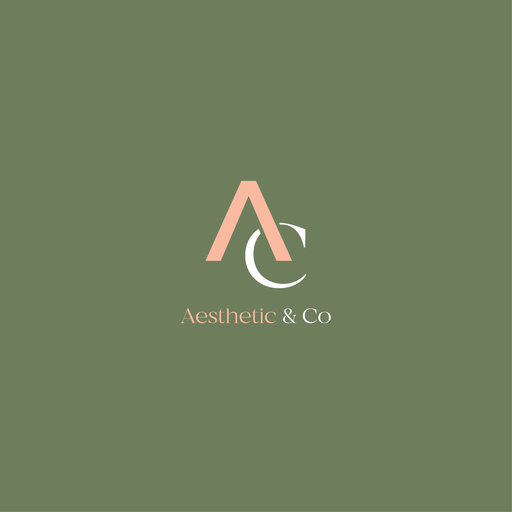 Aesthetic & Co.