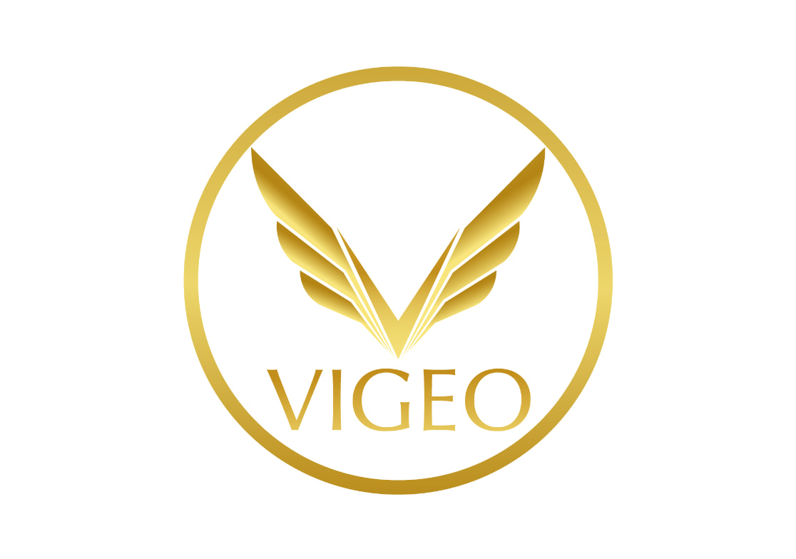 VIGEO HEALTH AND FITNESS PTE. LTD.