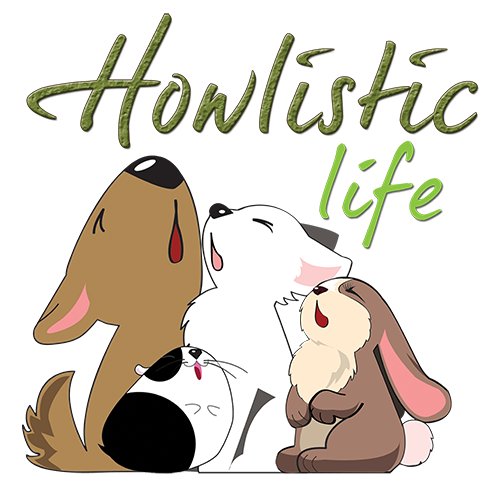 Howlistic Life Holdings Pte Ltd