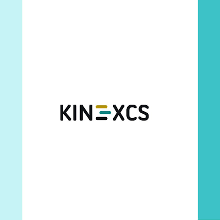 Kinexcs