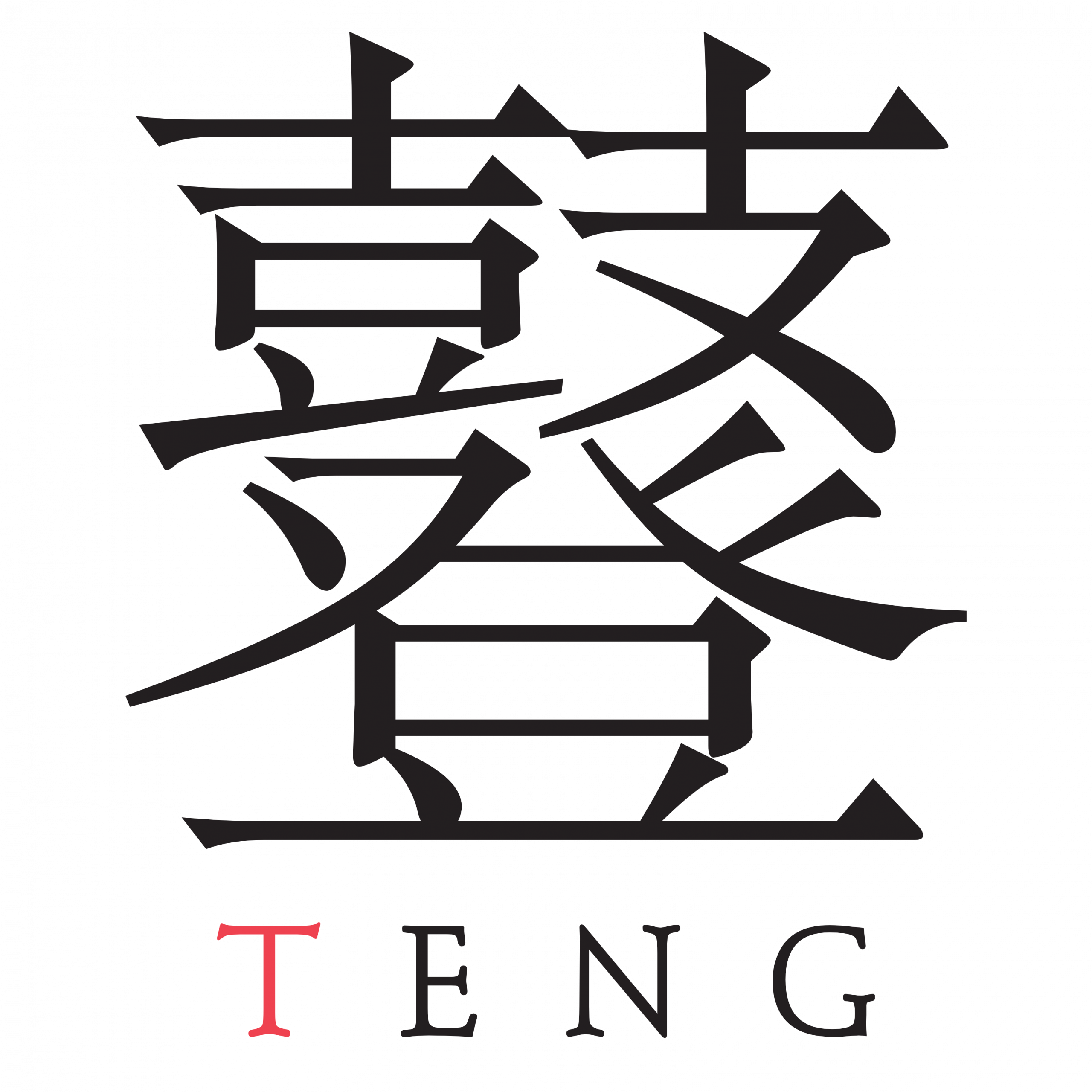 The TENG Company